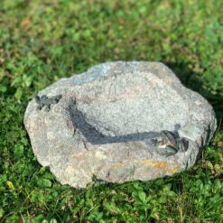 Rottenecker Vogeltränke Mit Frosch & Eidechse, Granit/Bronze, 10 X 25 X 20 Cm