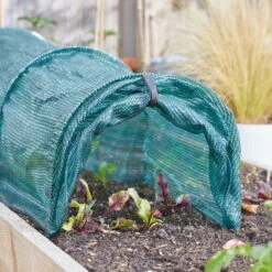 Anzuchttunnel 'GroZone Tunnel', Länge Ca. 300 Cm