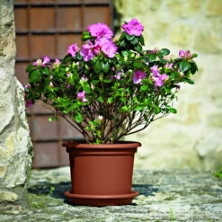 Euro 3 Plast Pflanzkübel Geo Terra