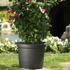 Euro 3 Plast Pflanzkübel Geo Anthrazit