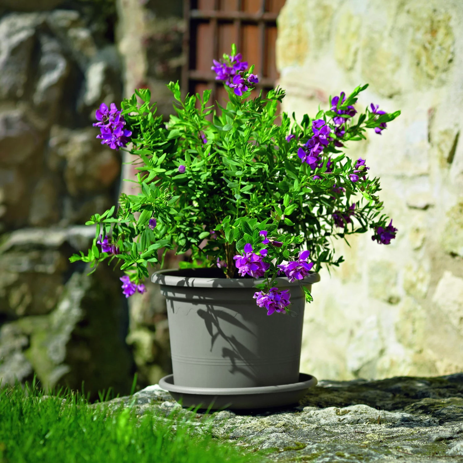 Euro 3 Plast Pflanzkübel Geo Taupe