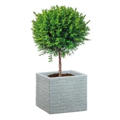 Pflanzgefäß 'Muretto', Eckig, Stein, Grau, Kunststoff