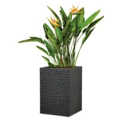 Pflanzgefäß 'Muretto High', Eckig, Stein, Schwarz, Kunststoff