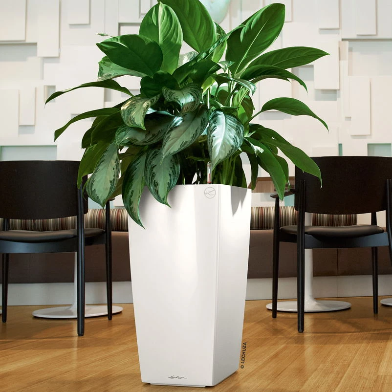 LECHUZA Cubico Premium 40, Weiß Hochglanz, All-in-One-Set, 40 X 40, H:75 Cm