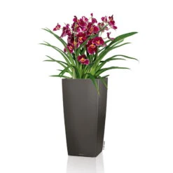 LECHUZA Cubico Premium 40, Anthrazit-metallic, All-in-One-Set, 40 X 40, H:75 Cm