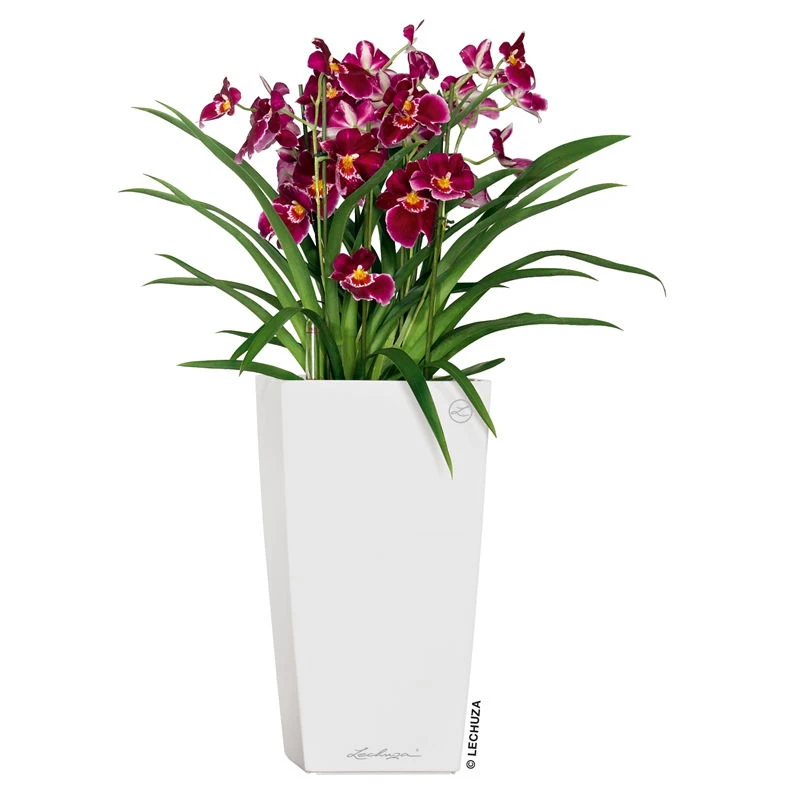 LECHUZA Cubico Premium 40, Weiß Hochglanz, All-in-One-Set, 40 X 40, H:75 Cm – Bild 4