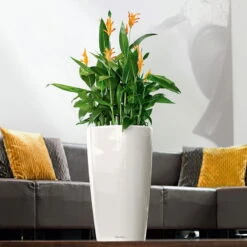 LECHUZA Rondo Premium, All-in-One-Set, Weiß Hochglanz, Ø 33 Cm, H:56 Cm